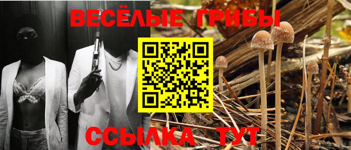 Галлюциногенные грибы MAGIC MUSHROOMS Чусовой